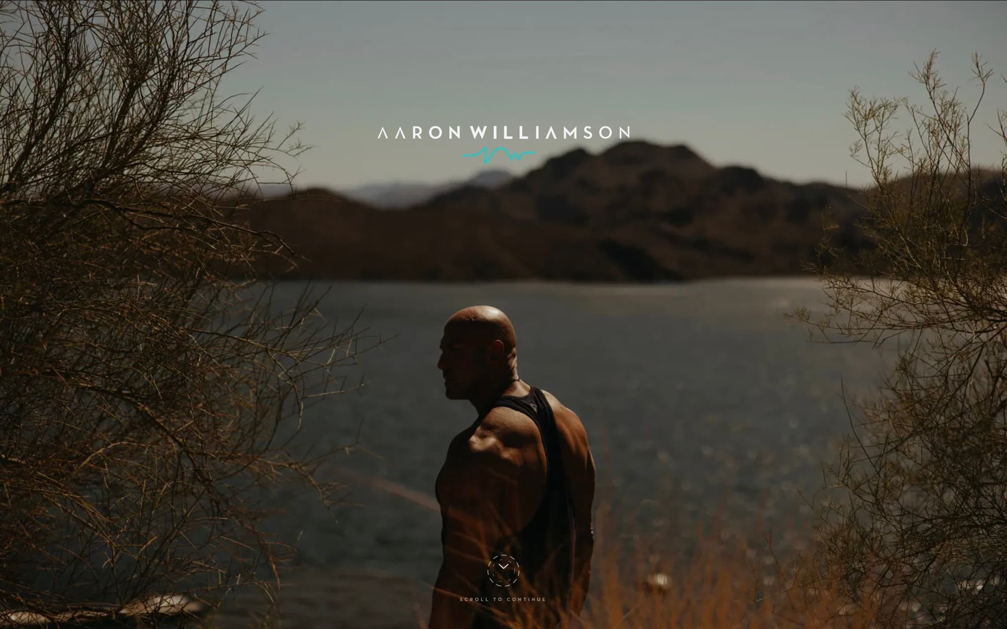 Aaron Williamson — website by Paper Apothecary & Co.